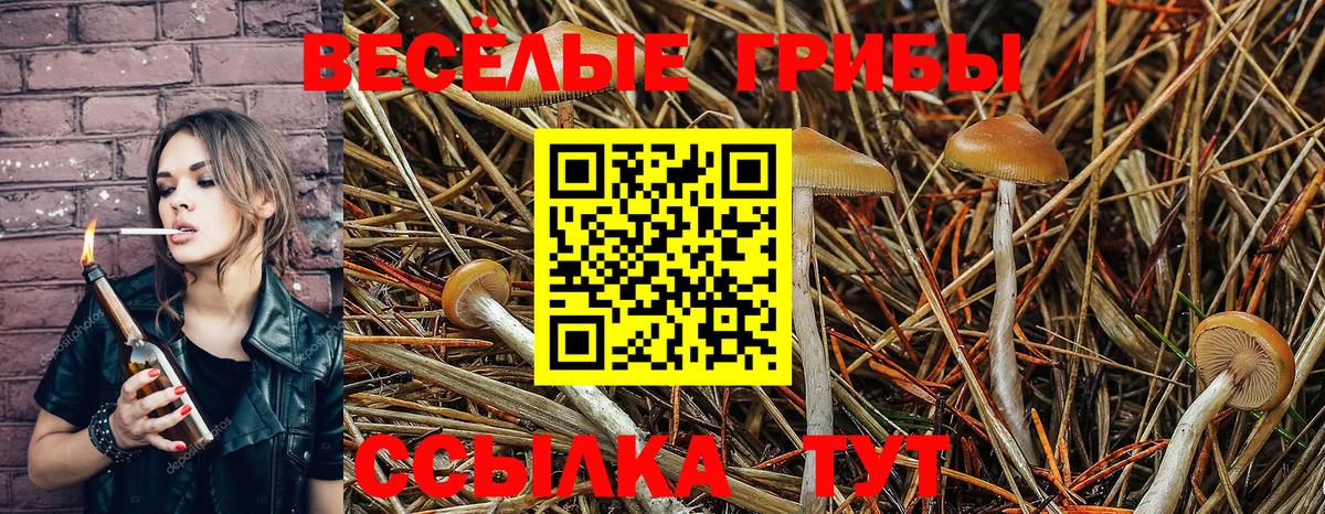 Удомля  Галлюциногенные грибы прущие грибы  купить  сайты  Вход с VPN 