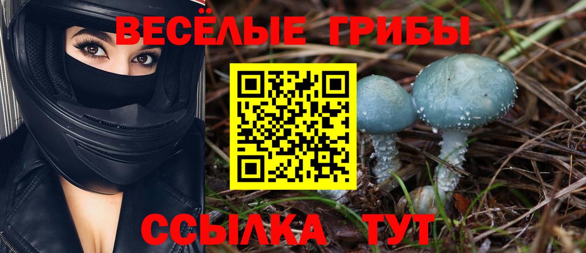 Галлюциногенные грибы прущие грибы Удомля